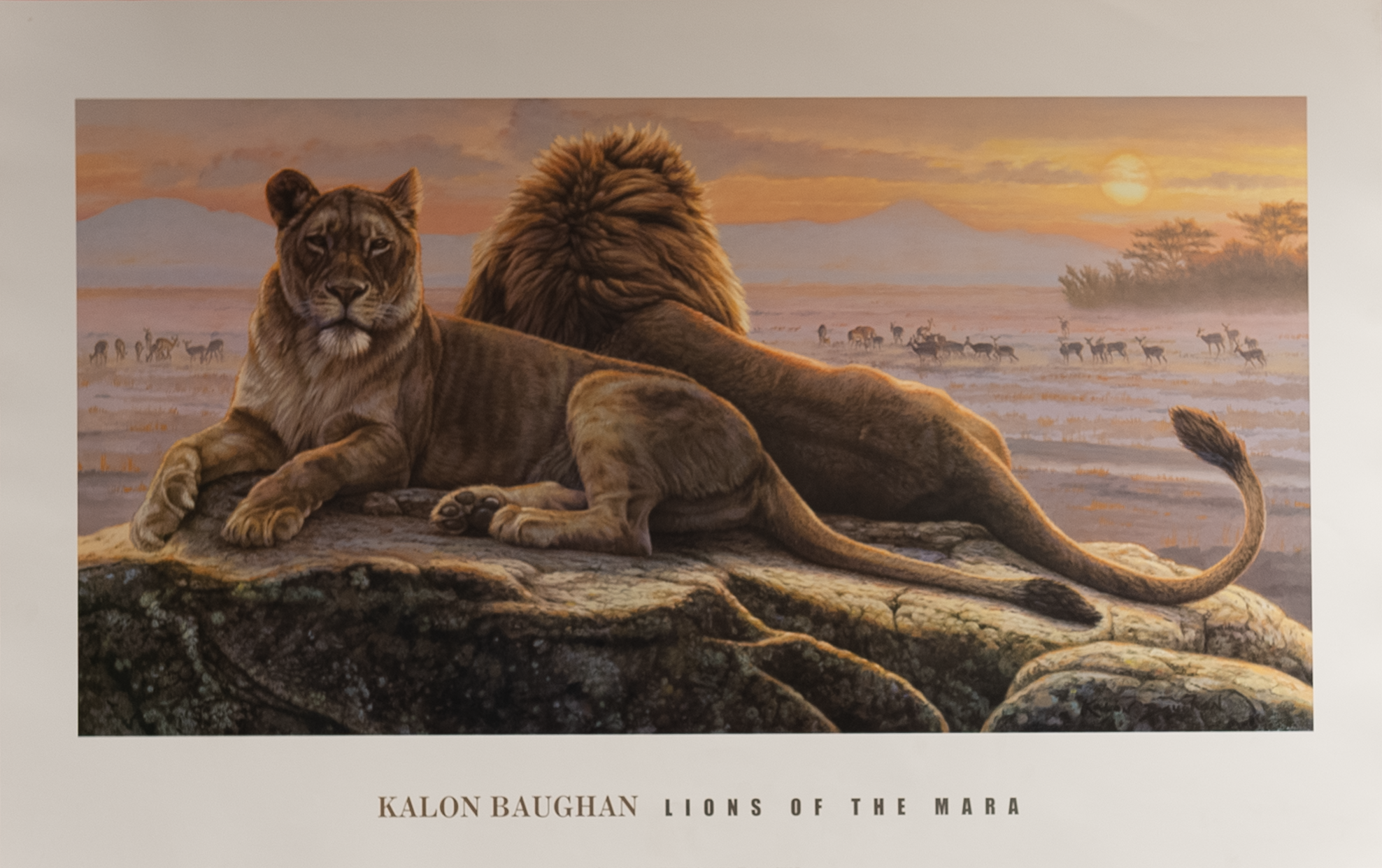 Lions of the Mara by Baugan, Art Poster Print for Wall, Home Decor - Image 1