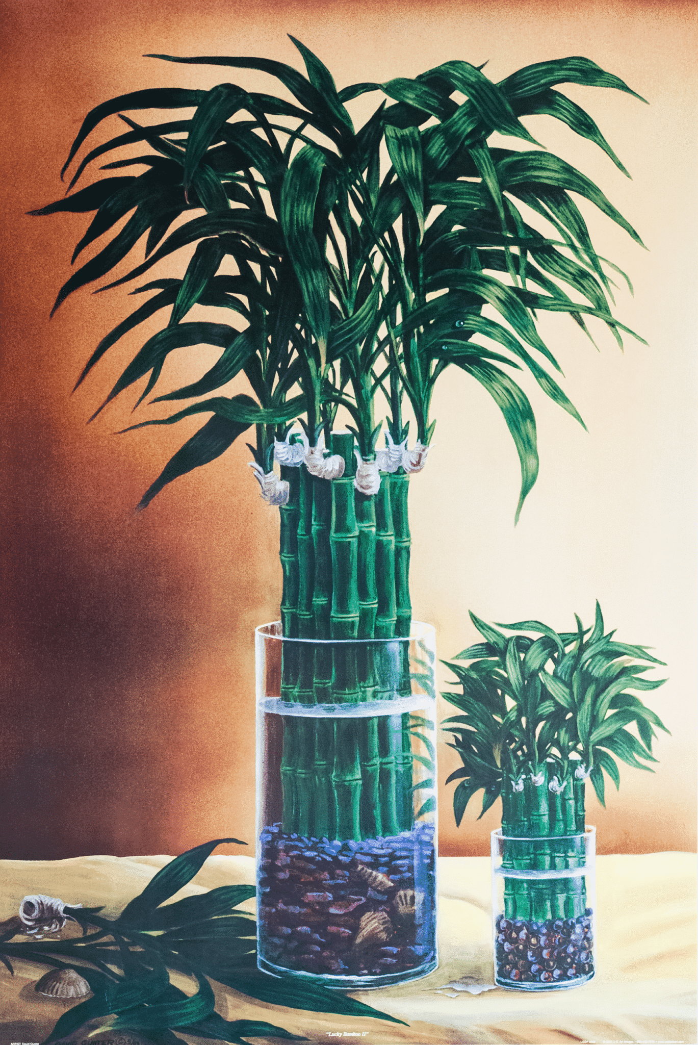 Lucky Bamboo II art print by David Gunter