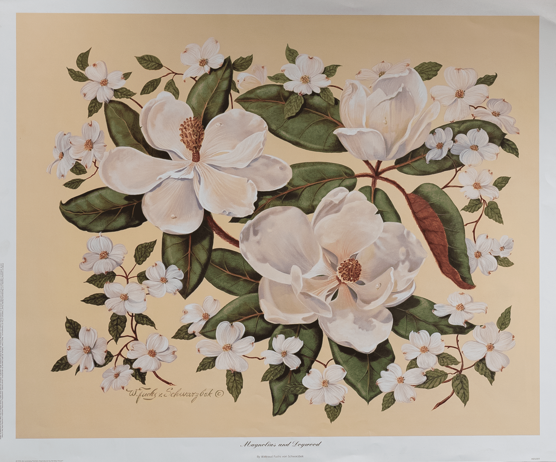 Magnolias and Dogwood by Schwarzbek, Art Poster Print for Wall, Home Decor