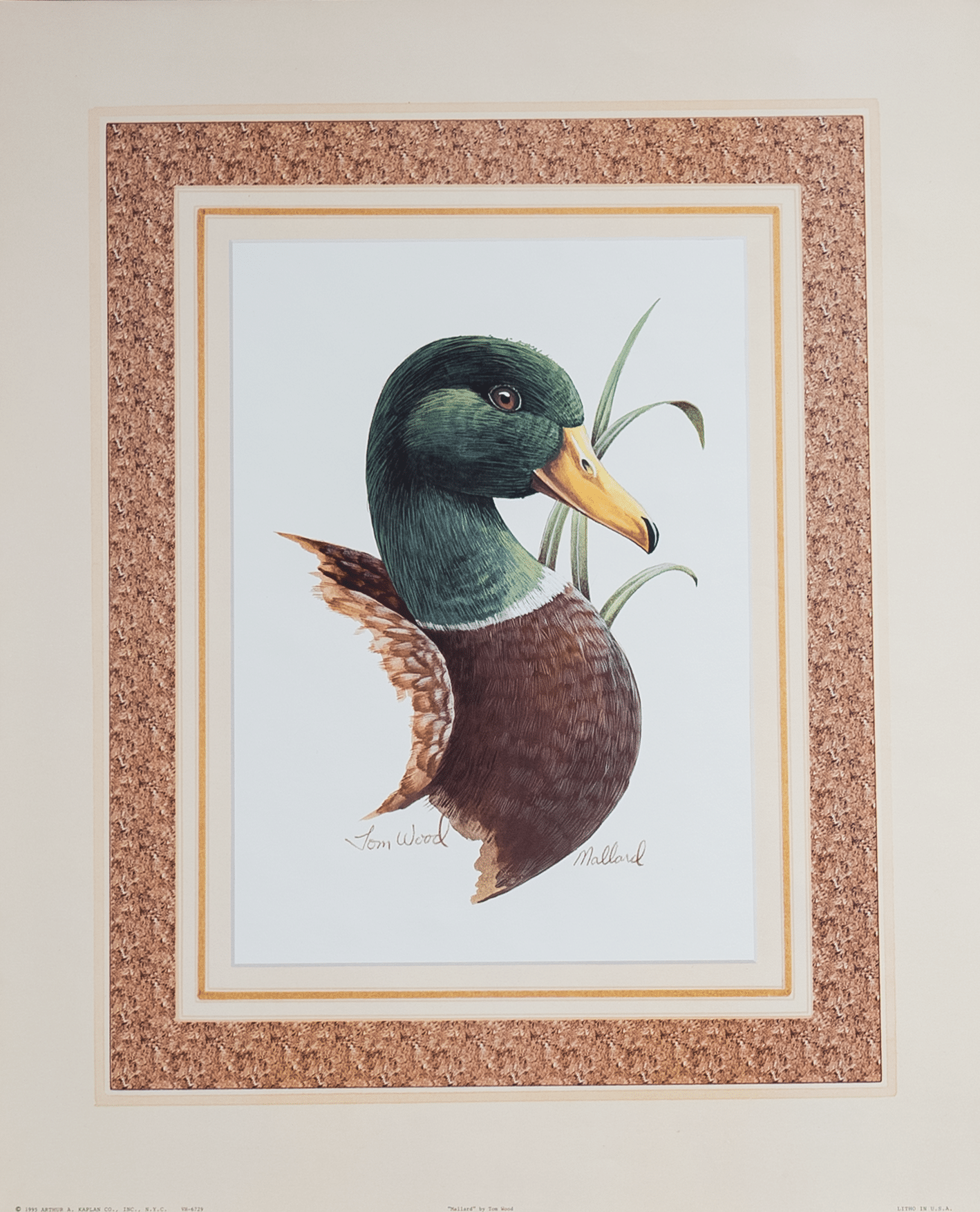 Mallard by Wood, Art Poster Print for Wall, Home Decor