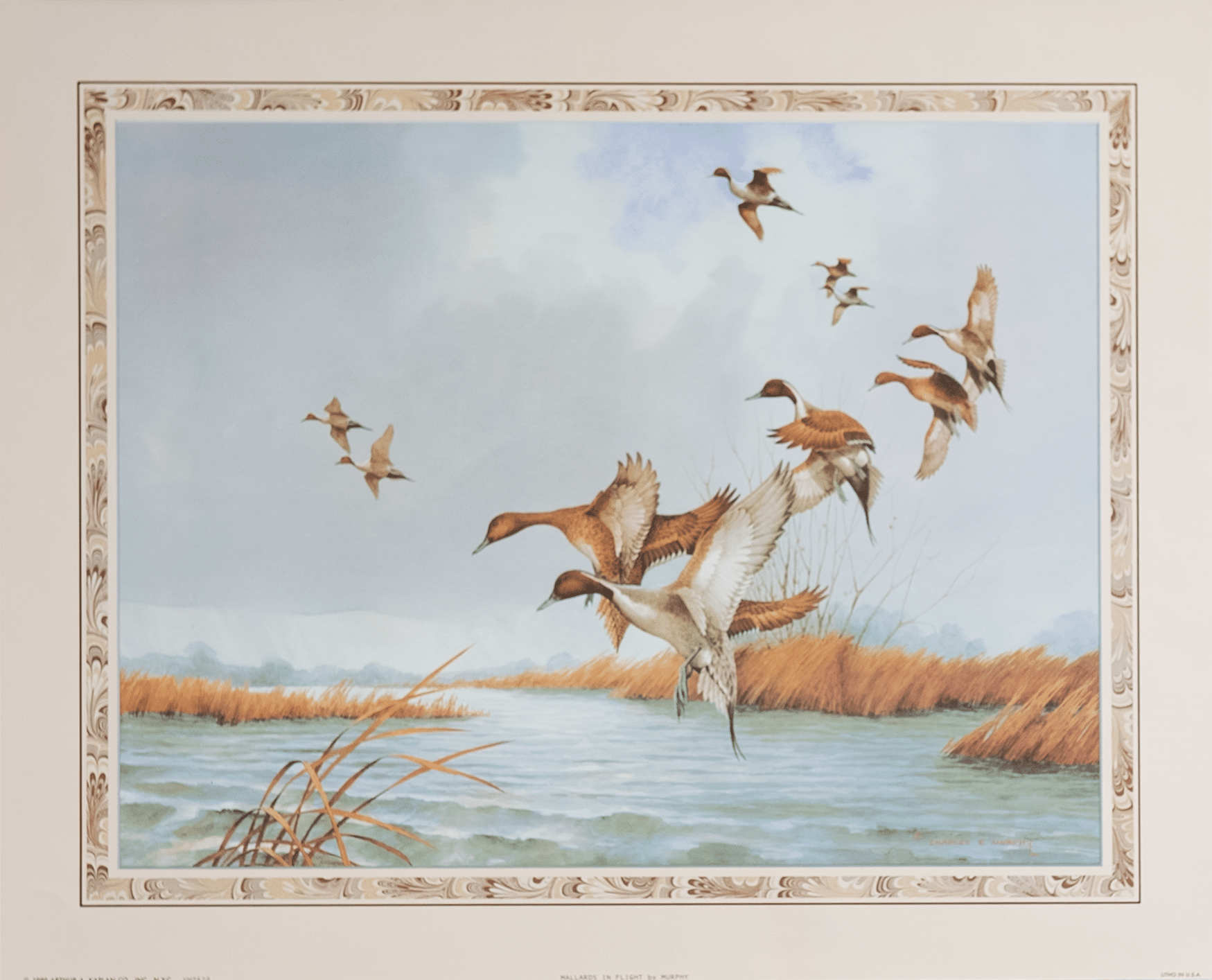 Mallard in Flight by Murphy, Art Poster Print for Wall, Home Decor Mallard in Flight by Murphy, Art Poster Print for Wall, Home Decor - Image 1