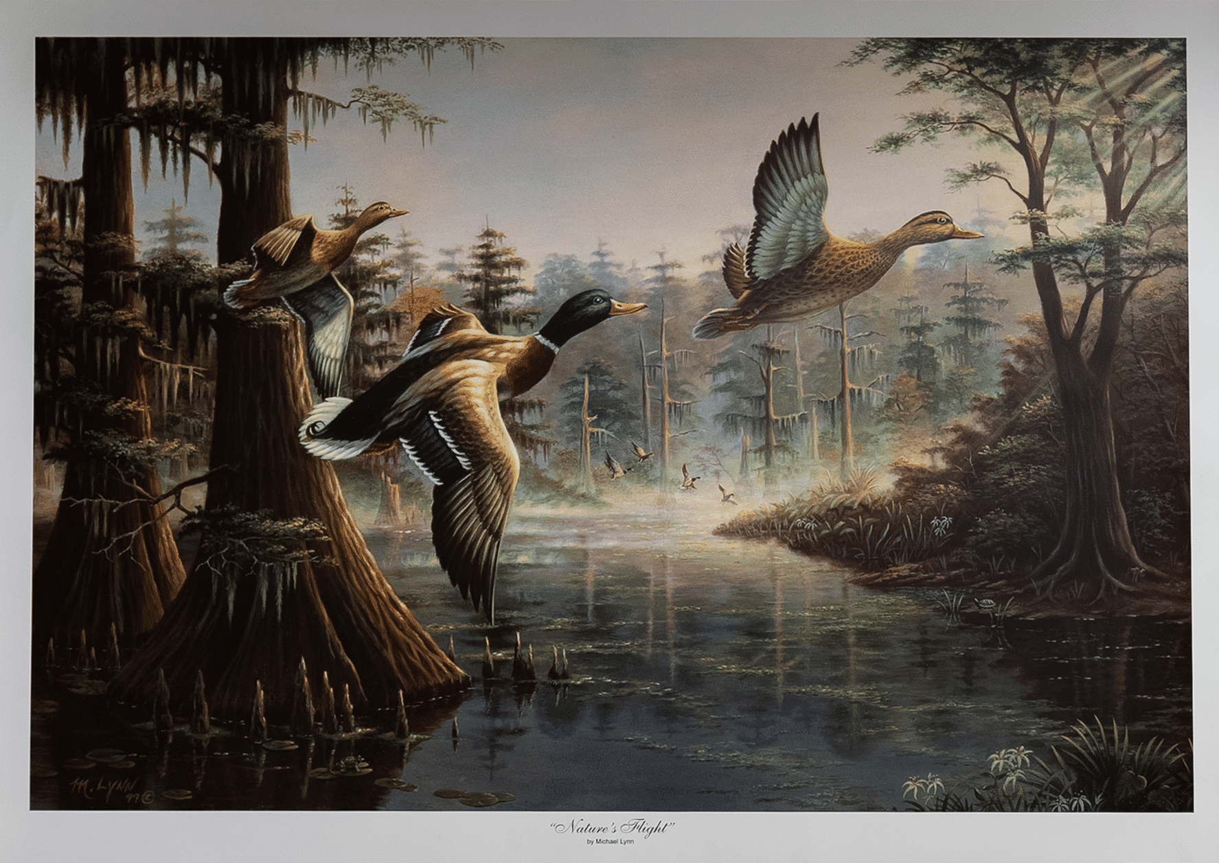 Nature's Flight by Lynn, Art Poster Print for Wall, Home Decor
