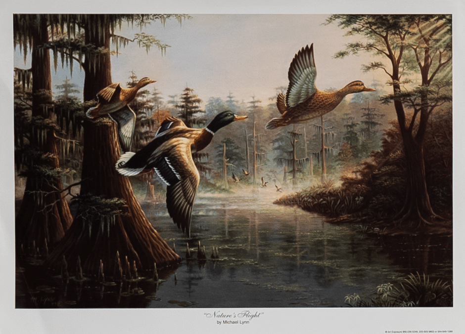 Nature's Flight by Lynn, Art Poster Print for Wall, Home Decor