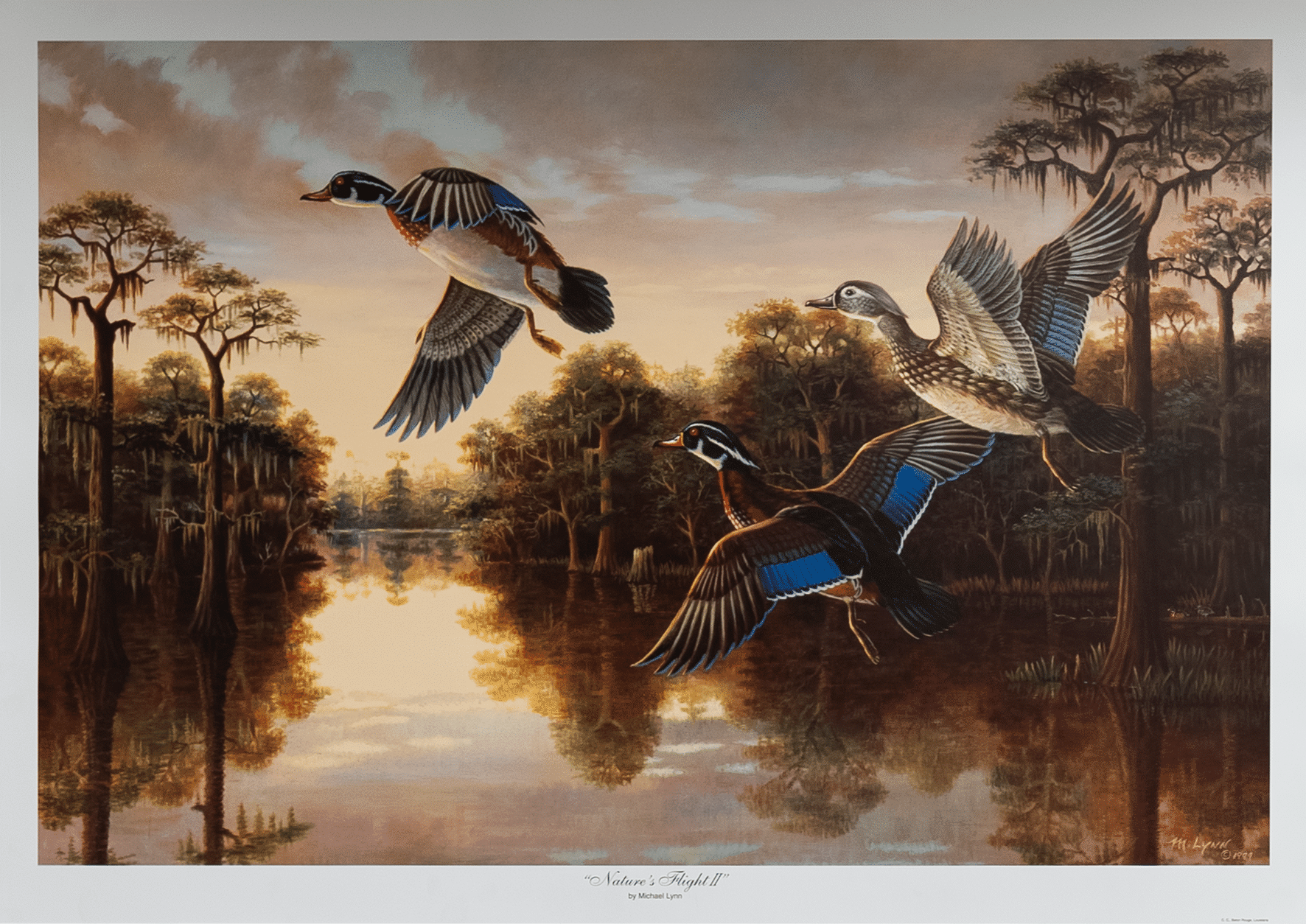 Nature's Flight II by Lynn, Art Poster Print for Wall, Home Decor