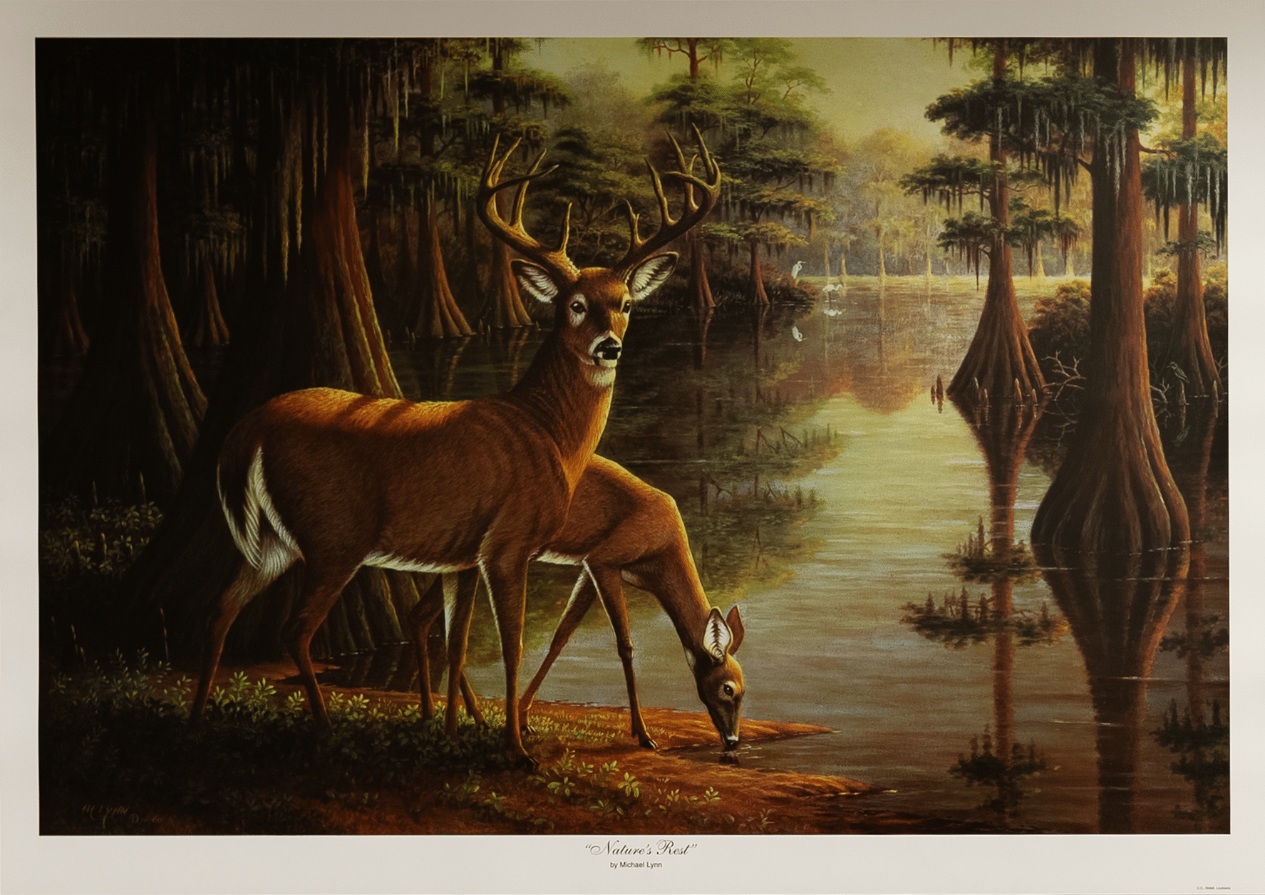 Nature's Rest by Lynn, Art Poster Print for Wall, Home Decor