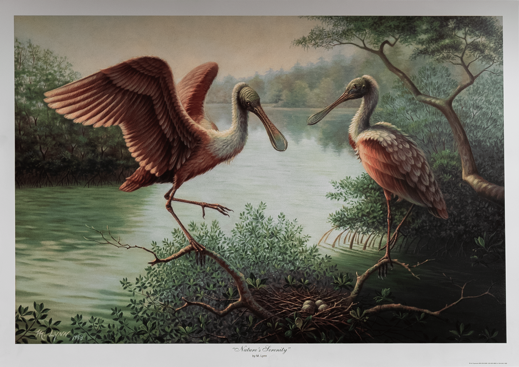 Nature's Serenity by Lynn, Art Poster Print for Wall, Home Decor