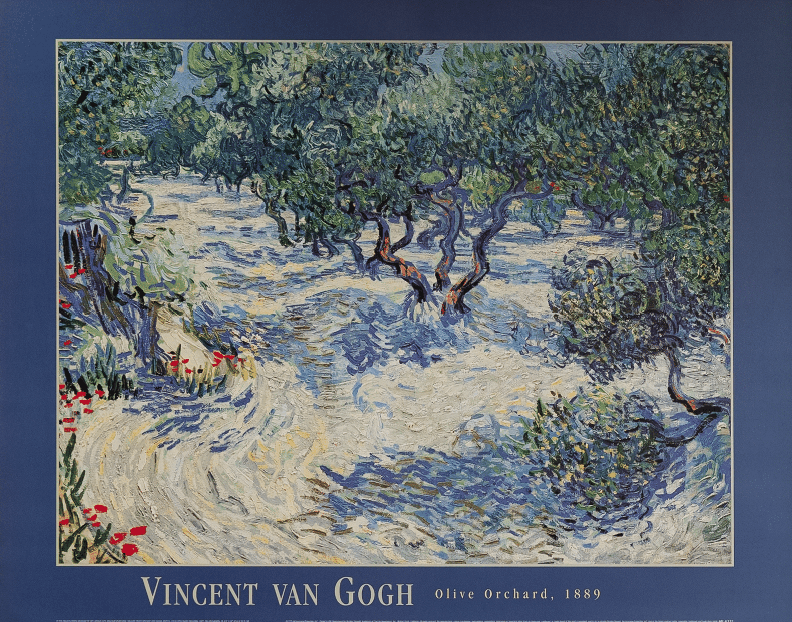 Olive Orchard, 1889 by Van Gogh, Art Poster Print for Wall, Home Decor - Image 1