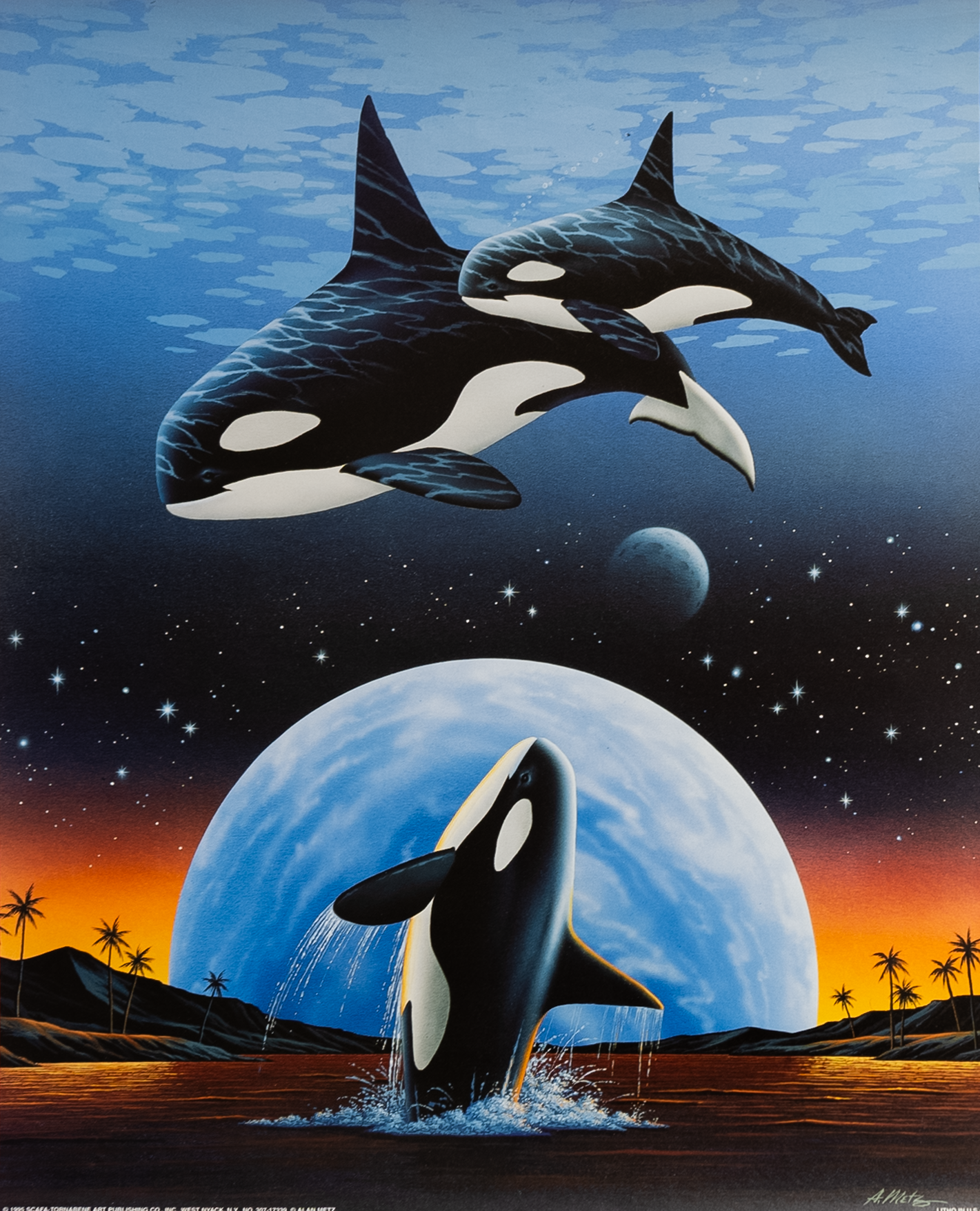 Orca Montage by Mets, Art Poster Print for Wall, Home Decor