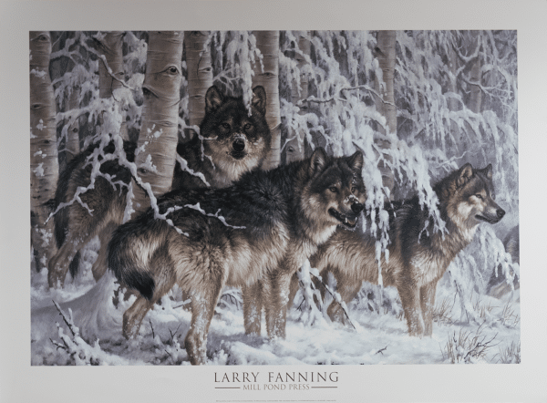 Pack of Wolves by Fanning, Art Poster Print for Wall, Home Decor