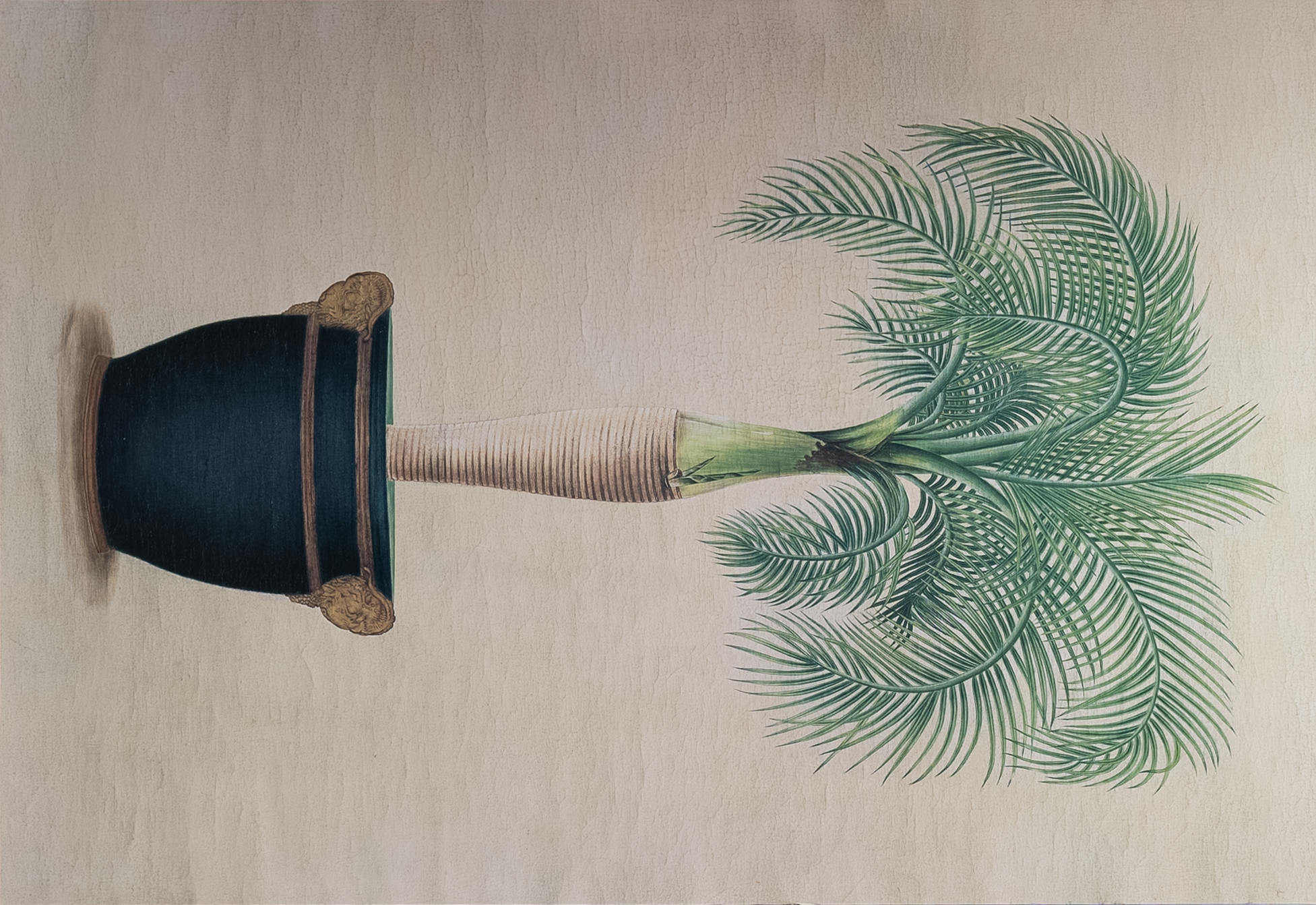 Potted Palm I, Art Poster Print for Wall, Home Decor