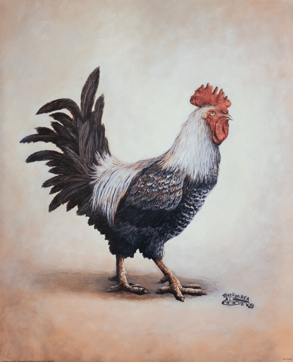 Roosters II by Rea, Art Poster Print for Wall, Home Decor