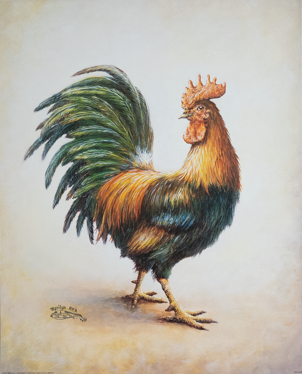 Roosters IV by Rea, Art Poster Print for Wall, Home Decor
