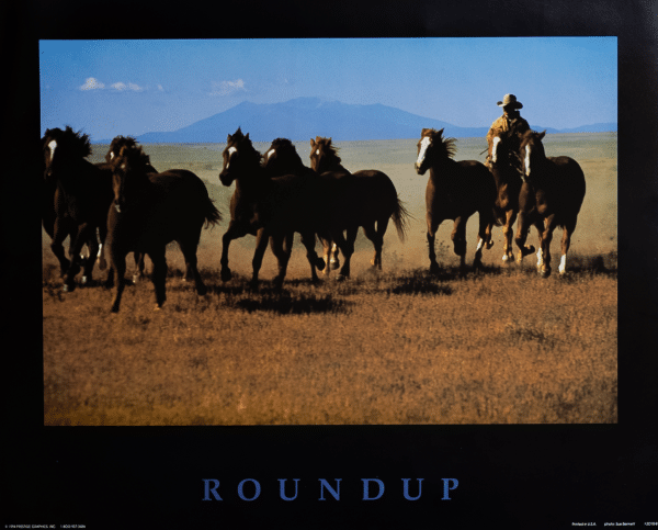 Roundup by Sue Bennett, Art Poster Print for Wall, Home Decor