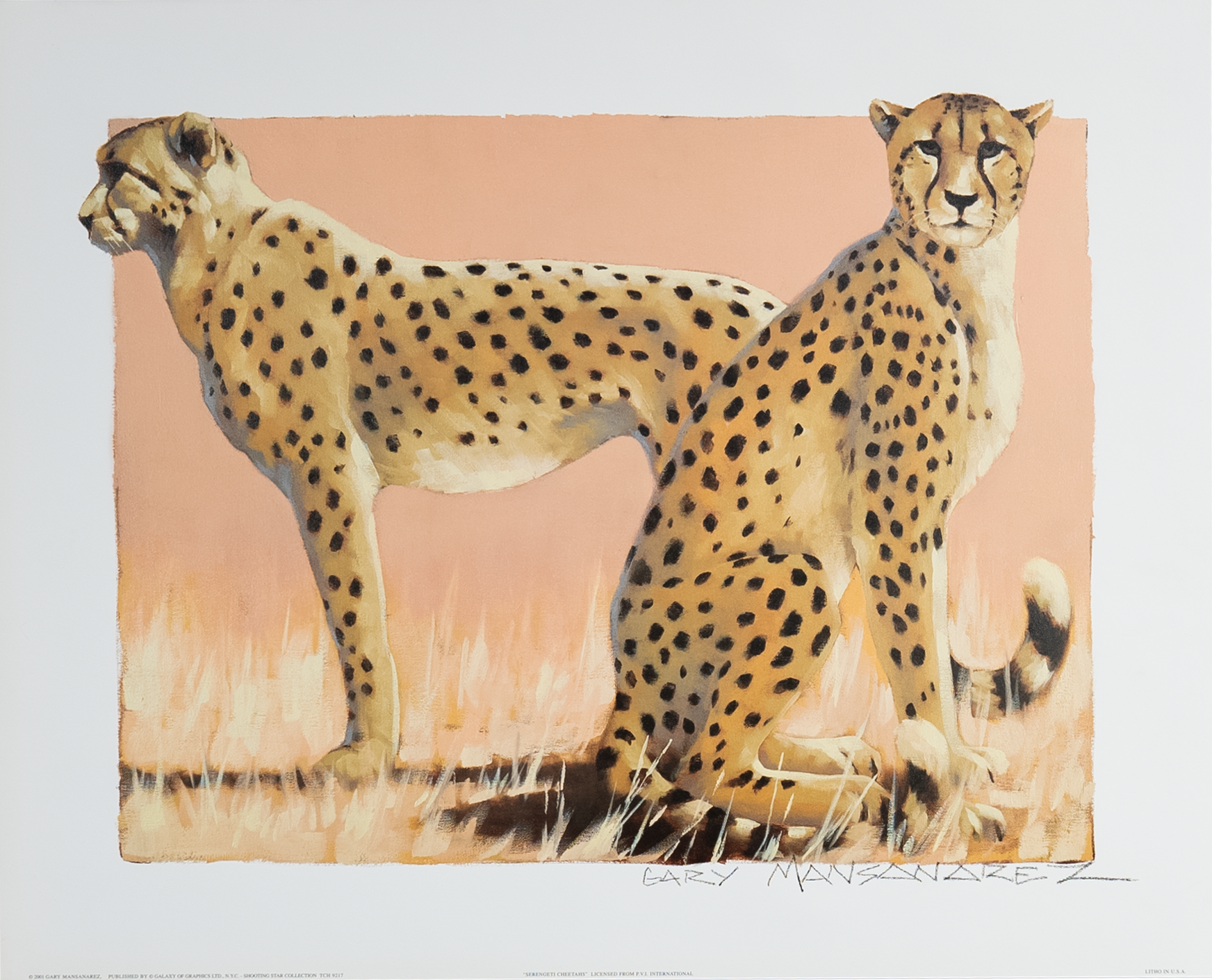 Serengeti Cheetahs by Mansanarez, Art Poster Print for Wall, Home Decor