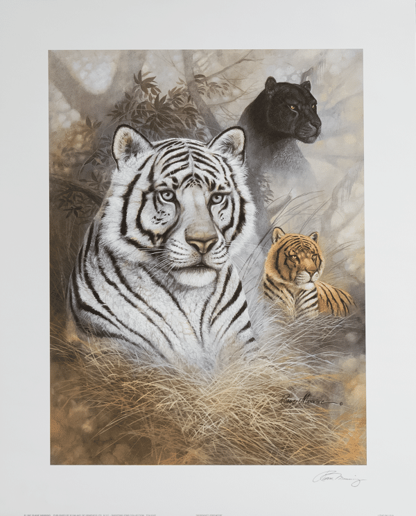 Serengeti Predator art print by Manning