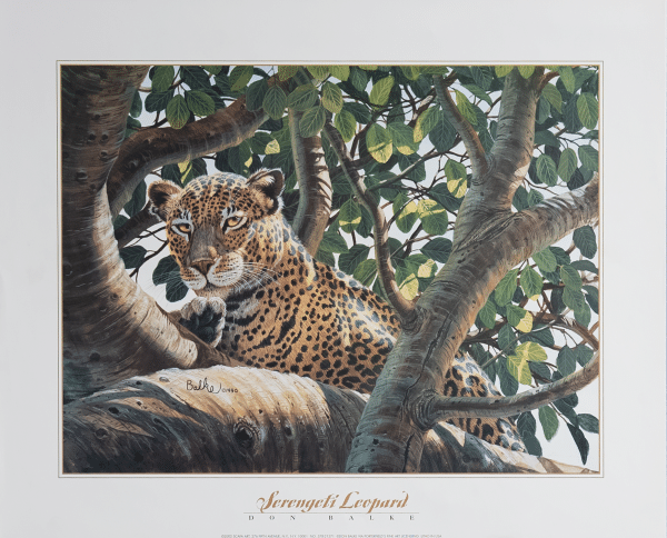 Serengeti Leopard by Balke, Art Poster Print for Wall, Home Decor
