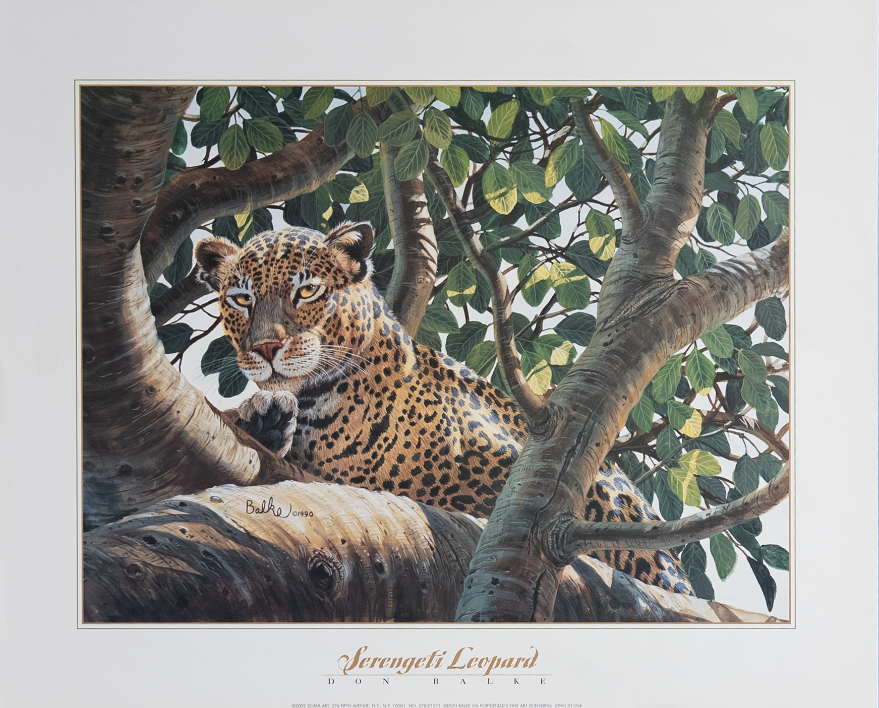 Serengeti Leopard by Balke, Art Poster Print for Wall, Home Decor