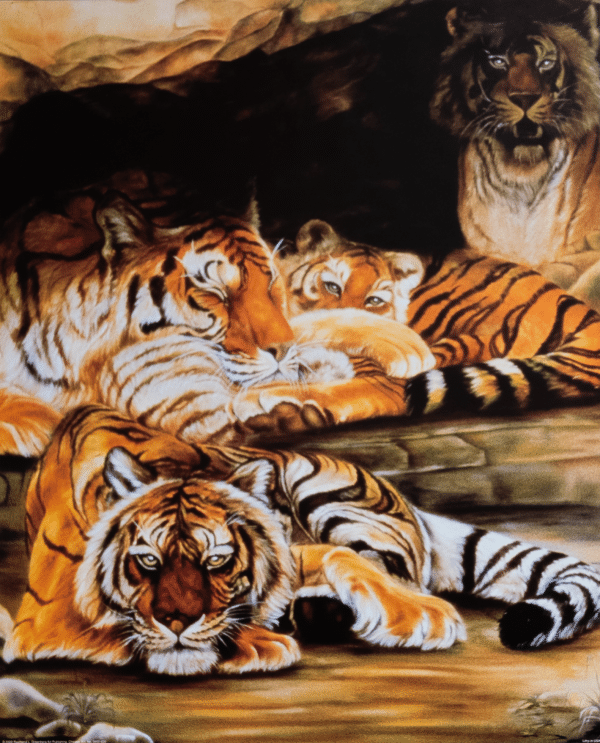 Sleeping Tigers by Greenberg, Art Poster Print for Wall, Home Decor