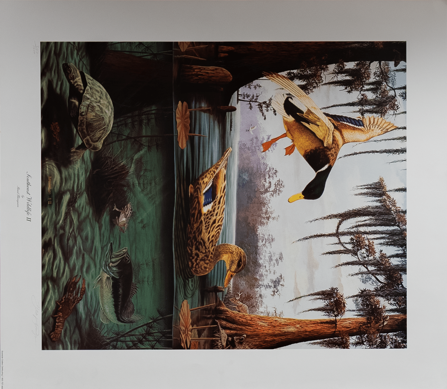 Southeast Wildlife II by Thompson, Art Poster Print for Wall, Home Decor