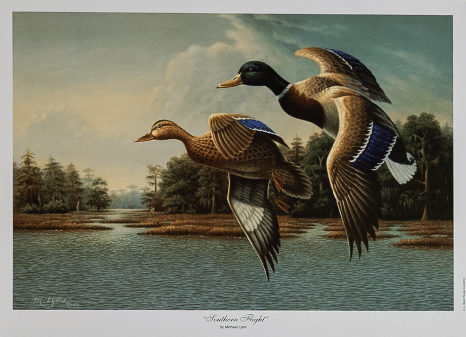 Southern Flight by Lynn, Art Poster Print for Wall, Home Decor