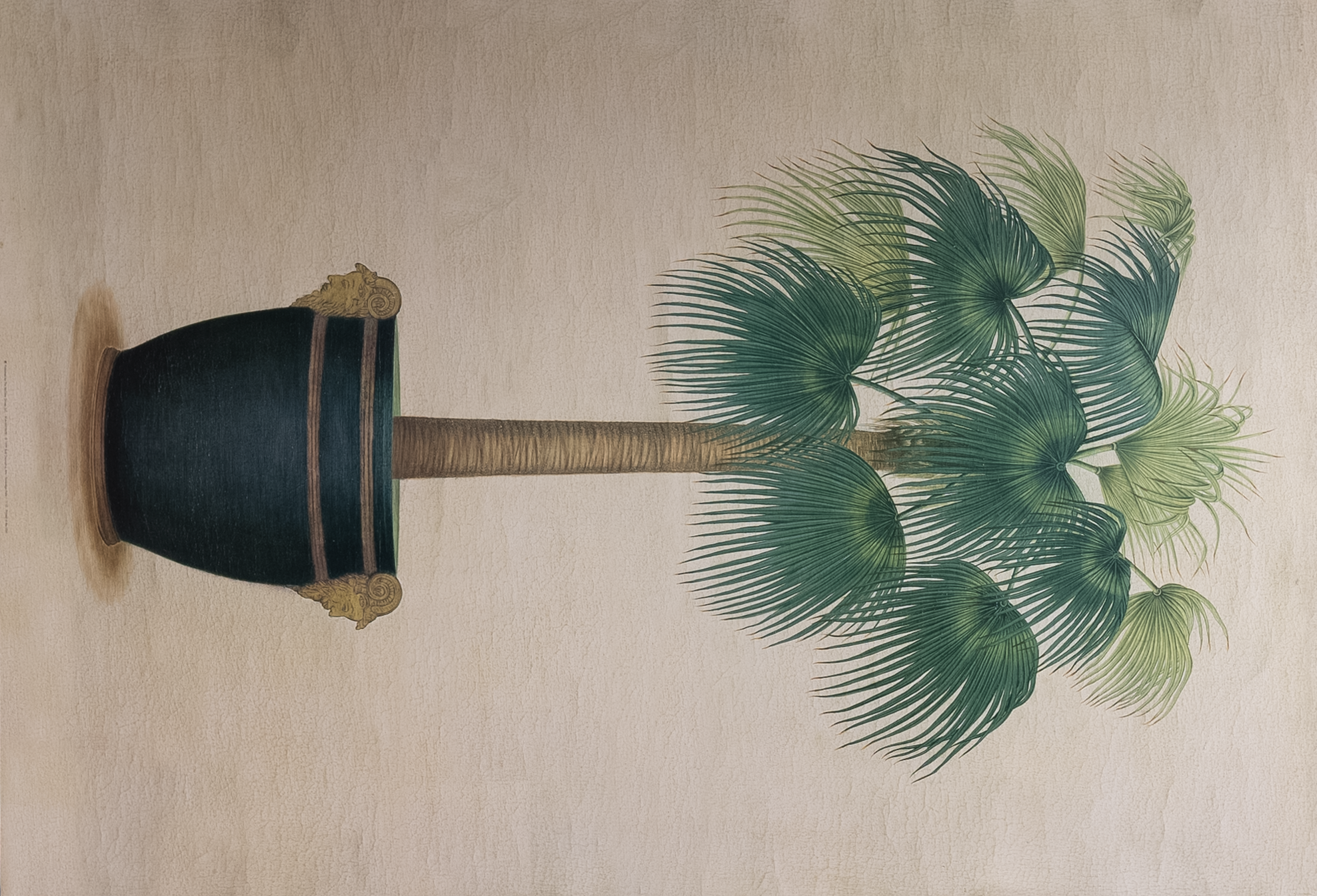 Sovereign Palm I, Art Poster Print for Wall, Home Decor