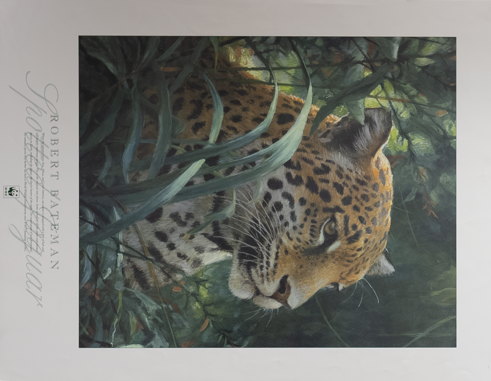 Spotted Jaguar by Bateman, Art Poster Print for Wall, Home Decor