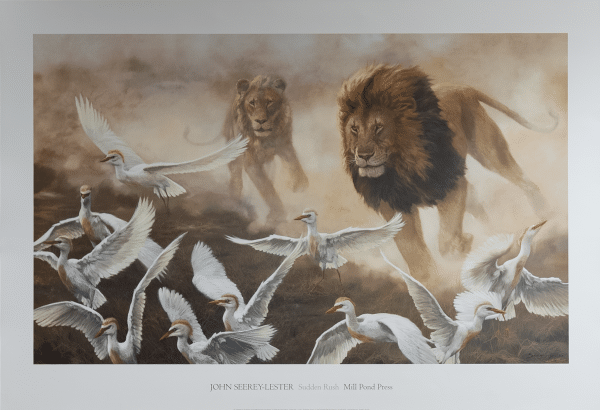 Sudden Rush by Lester, Art Poster Print for Wall, Home Decor