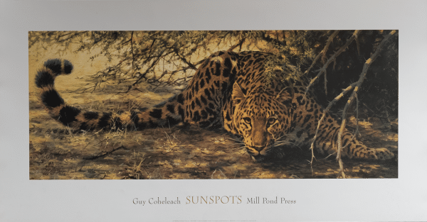 Sunspots by Coheleach, Art Poster Print for Wall, Home Decor