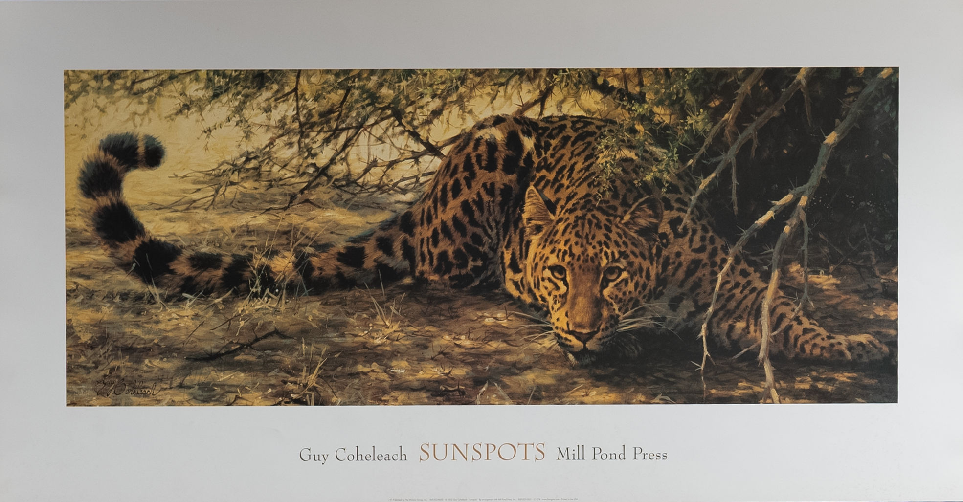 Sunspots by Coheleach, Art Poster Print for Wall, Home Decor