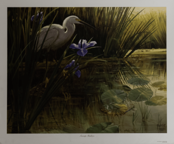 Swamp Shadows by Butler, Art Poster Print for Wall, Home Decor