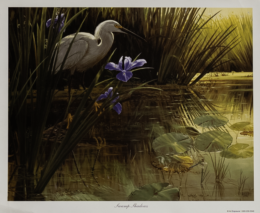Swamp Shadows by Butler, Art Poster Print for Wall, Home Decor