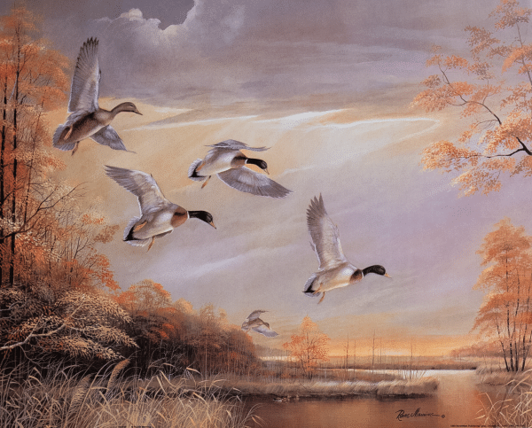 Taking Flight II by Manning, Art Poster Print for Wall, Home Decor