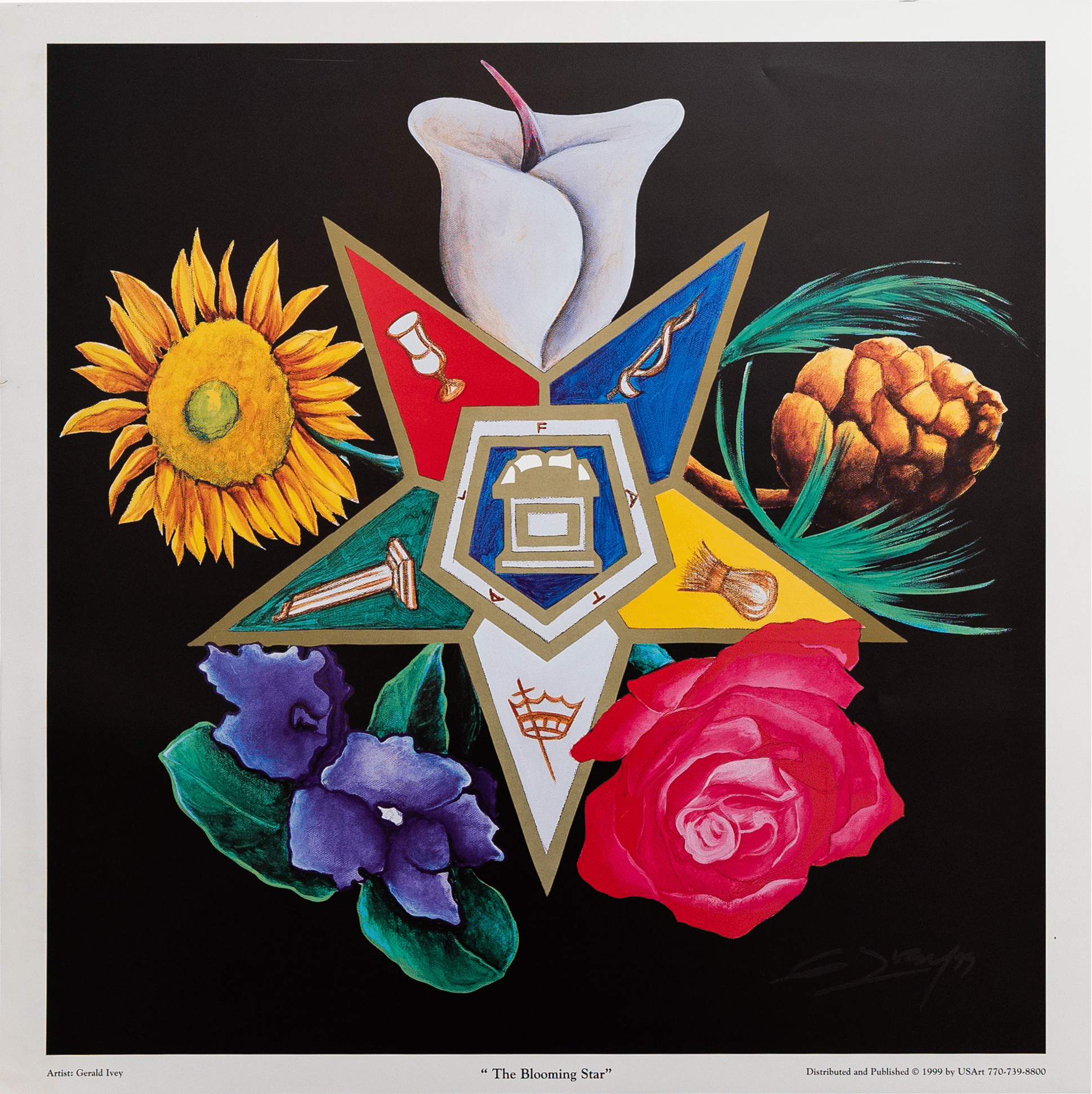 The Blooming Star by Gerald Ivey, Art Poster Print for Wall, Home Decor - Image 1
