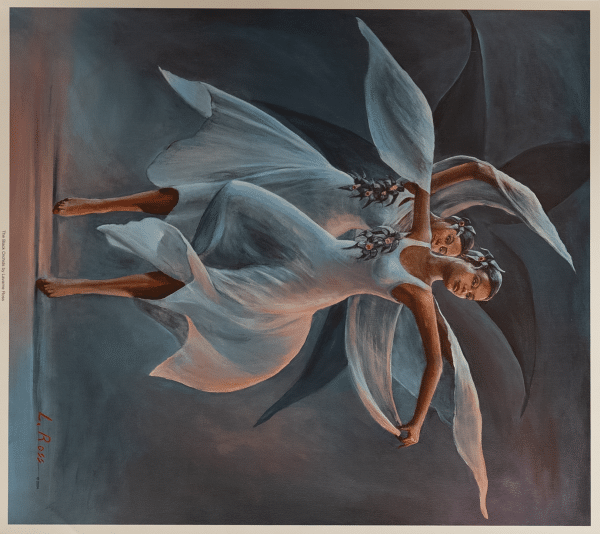 The Black Orchids by Ross, Art Poster Print for Wall, Home Decor