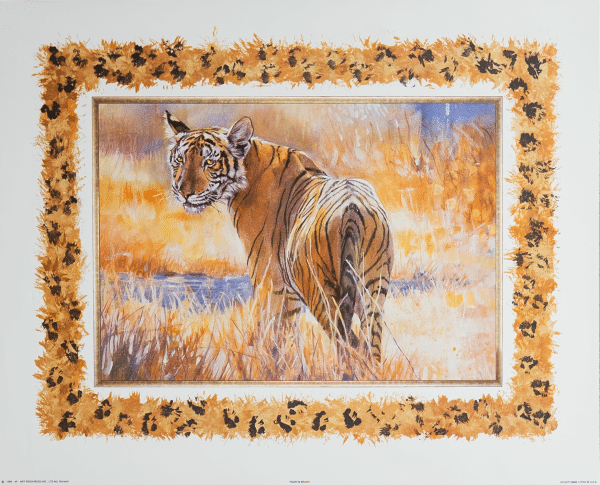 Tiger in Brush, Art Poster Print for Wall, Home Decor