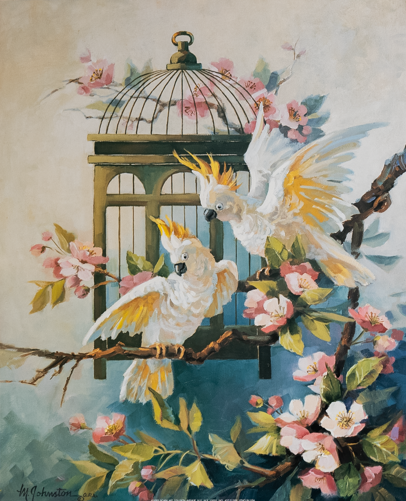 Two Cockatoos by Johnston, Art Poster Print for Wall, Home Decor