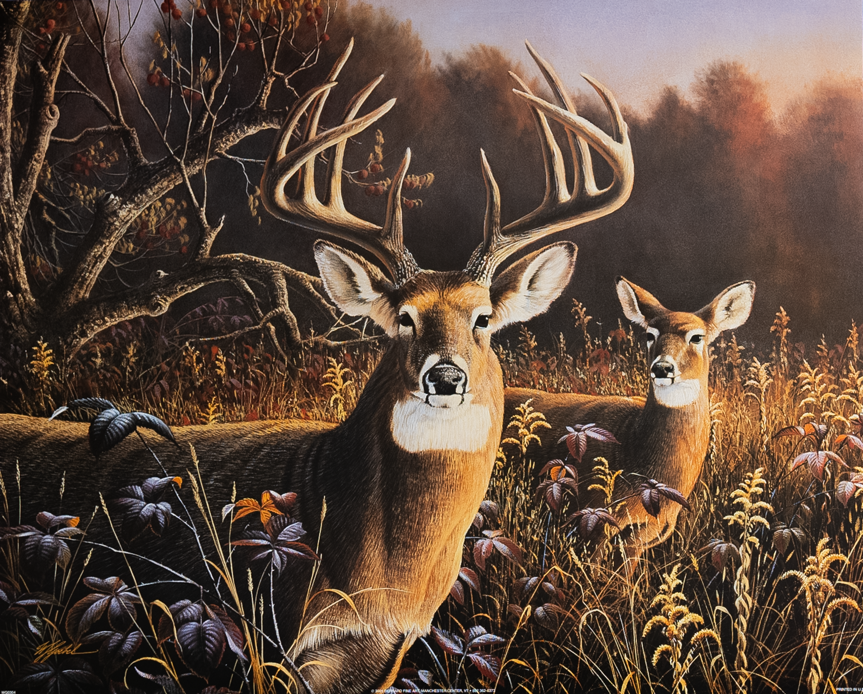 Two Deer in Field by Something, Art Poster Print for Wall, Home Decor
