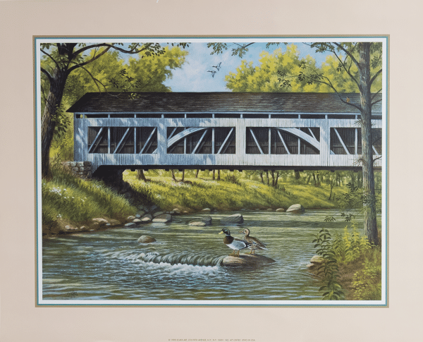 Two Ducks Under a Bridge I art print by Jenkins