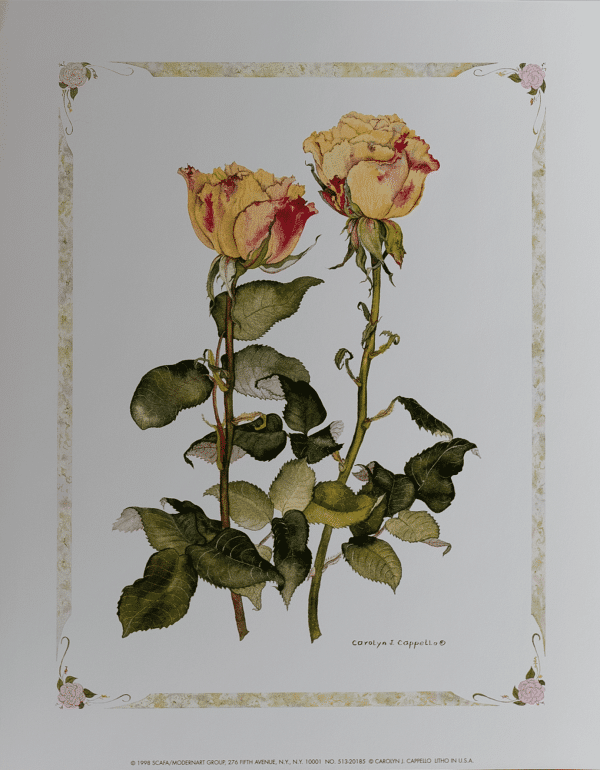 Two Yellow Ross art print by Cappello