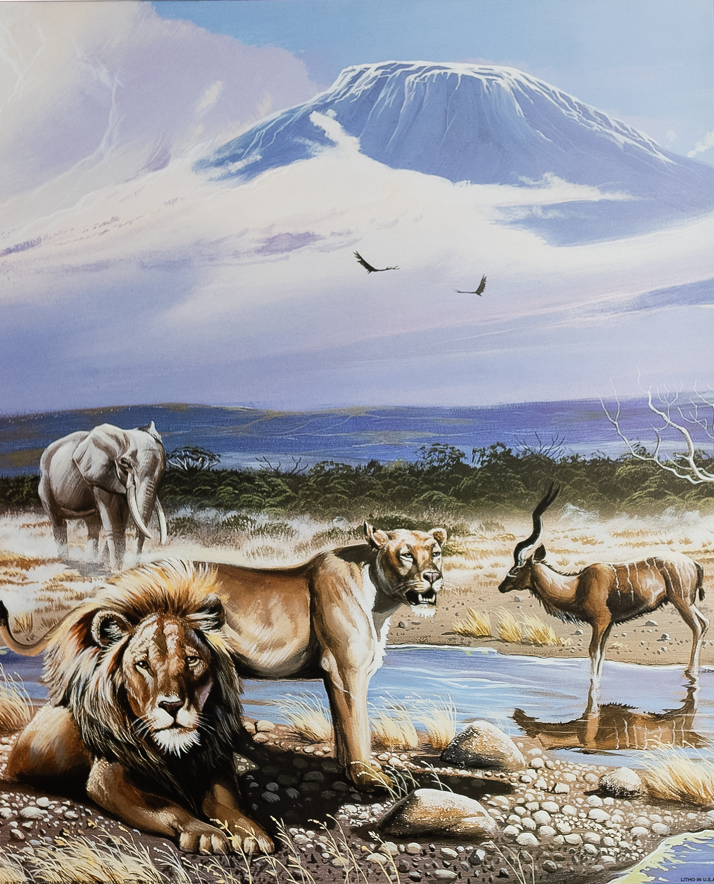 Watering Hole, Art Poster Print for Wall, Home Decor