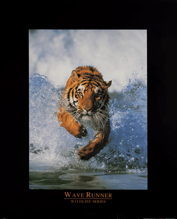 Wildlife Series art print by Wave Runner - Unknown