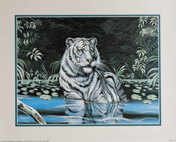 White Tiger in Water art print by Ampel