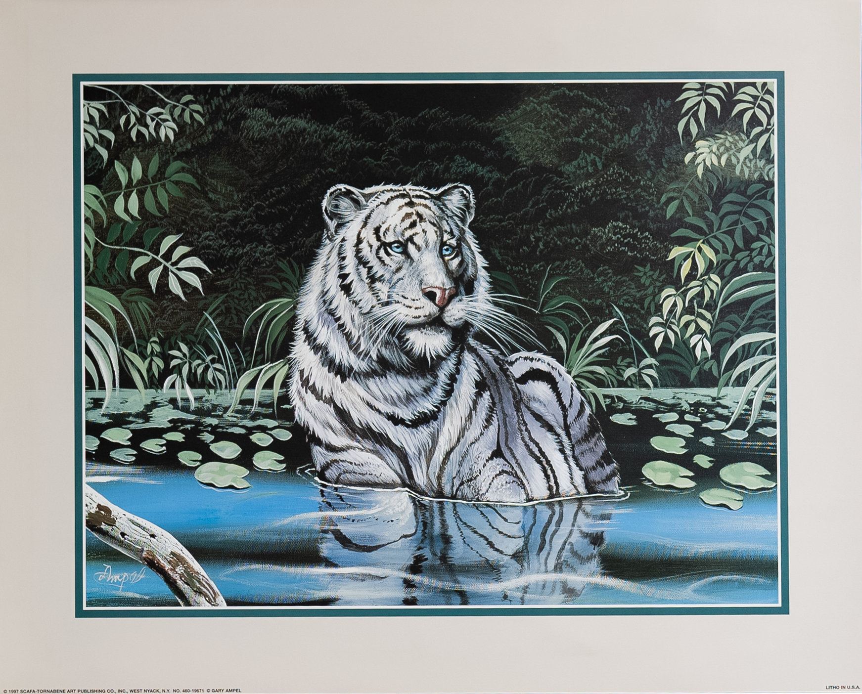 White Tiger in Water by Ampel, Art Poster Print for Wall, Home Decor
