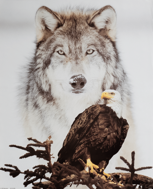 Wolf + Eagle II, Art Poster Print for Wall, Home Decor