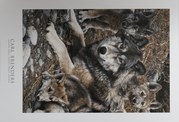 Wolf Family by Brenders, Art Poster Print for Wall, Home Decor