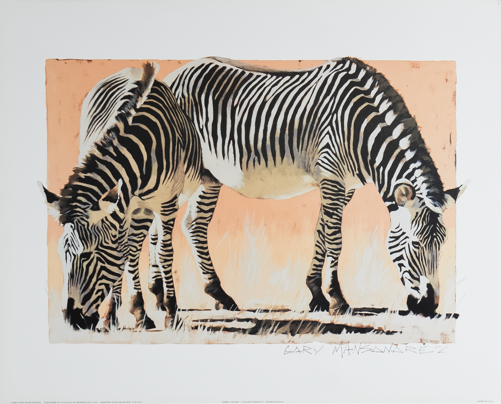 Zebra Safari by Mansanarez, Art Poster Print for Wall, Home Decor