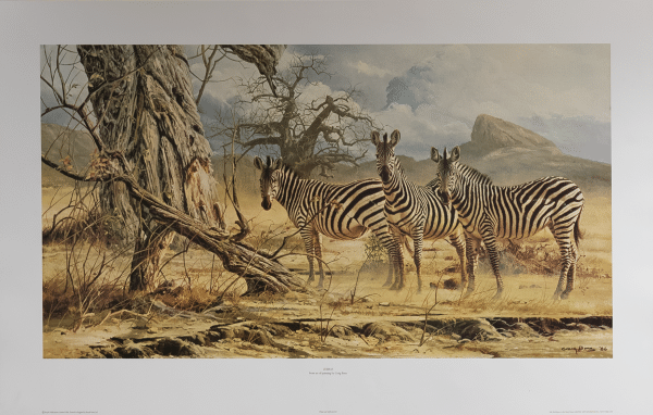 Zebras by Bone, Art Poster Print for Wall, Home Decor