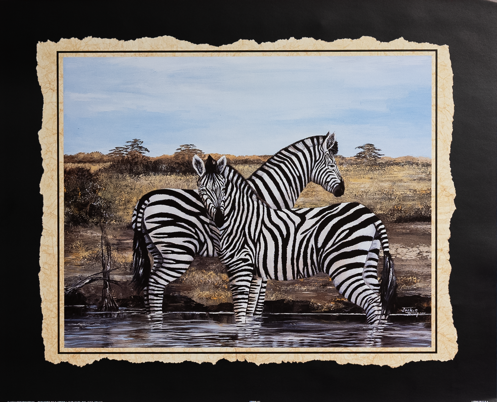 Zebras by Thompson, Art Poster Print for Wall, Home Decor
